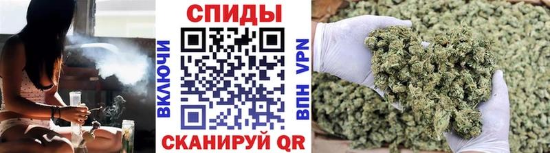 Бутират буратино  как найти наркотики  Торопец 