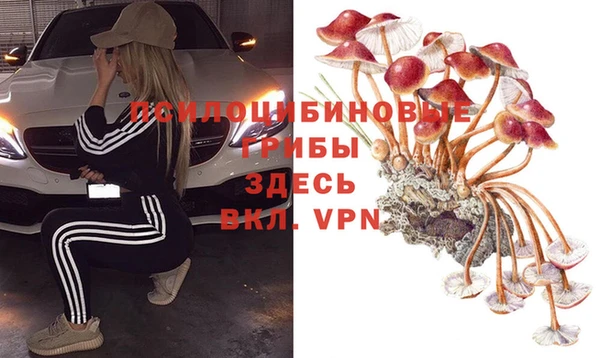 ГАЛЛЮЦИНОГЕННЫЕ ГРИБЫ Ладушкин