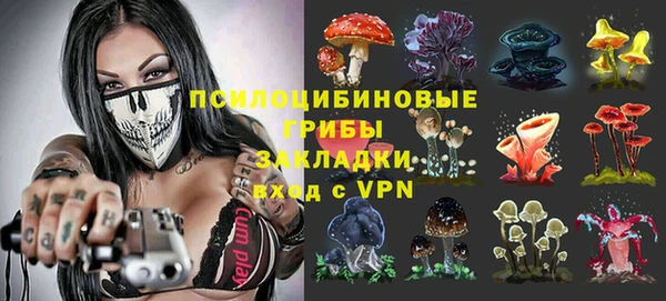 героин Лагань
