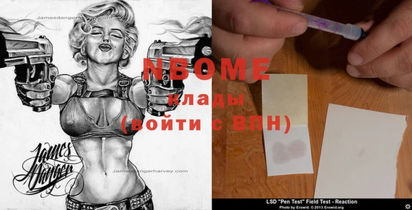 ГАЛЛЮЦИНОГЕННЫЕ ГРИБЫ Ладушкин