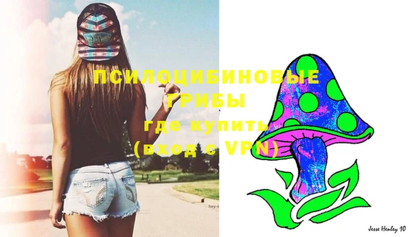apvp Лабытнанги